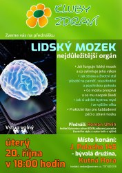 Lidský mozek - Klub zdraví v Kutné Hoře