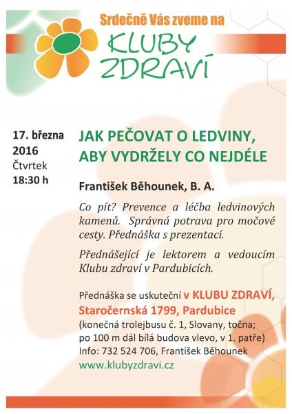 19. Ledviny