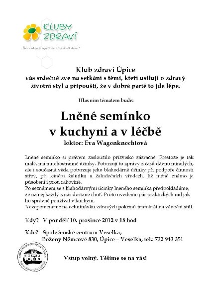121210_p_upice_prednaska